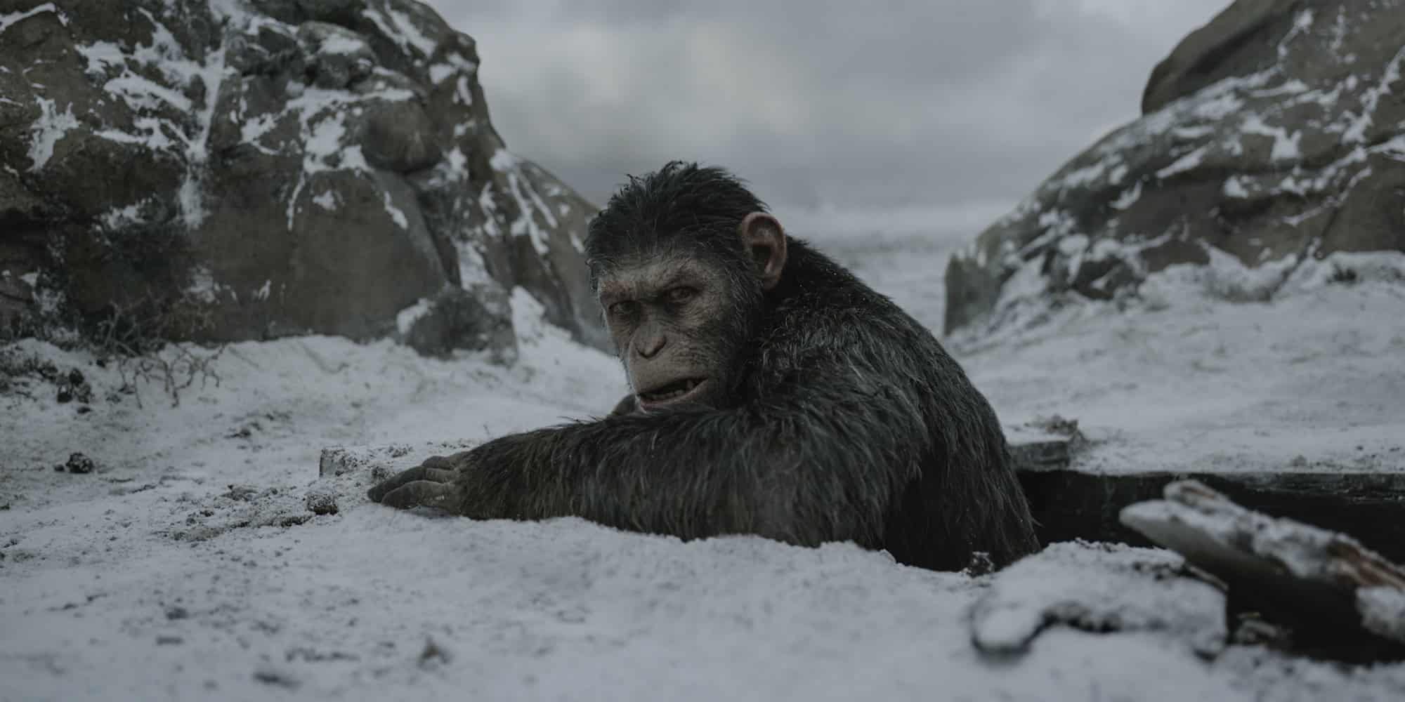 War For The Planet Of The Apes je favoritom na výhru najlepších efektov na oscaroch 2018!
